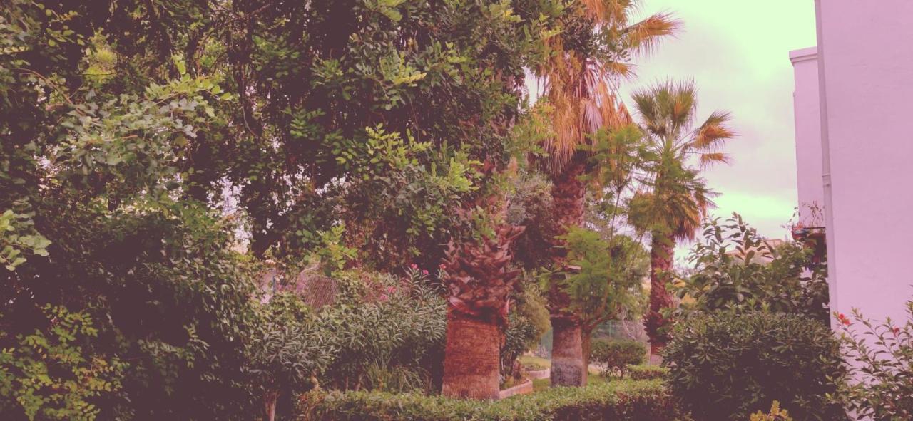 Apartment Cantinho Azul - Garden *