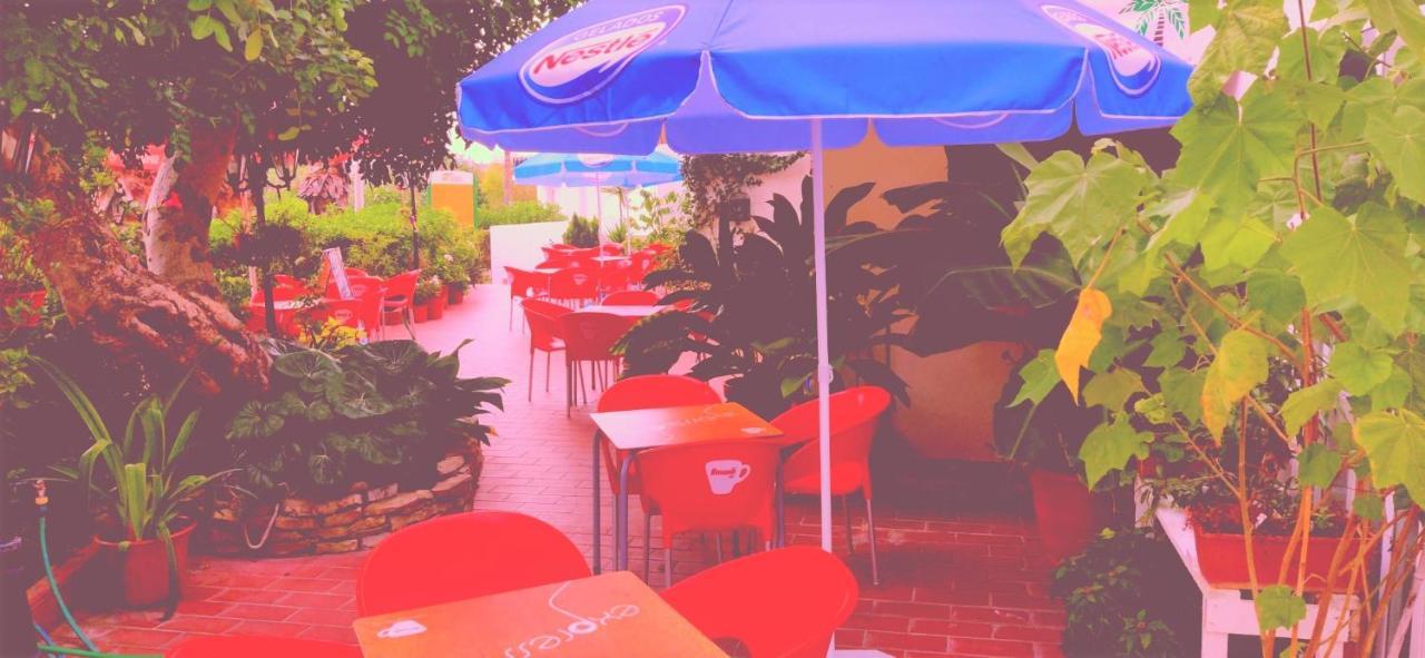 Cantinho Azul - Garden *